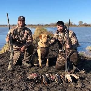 Meet your Posher, Justin